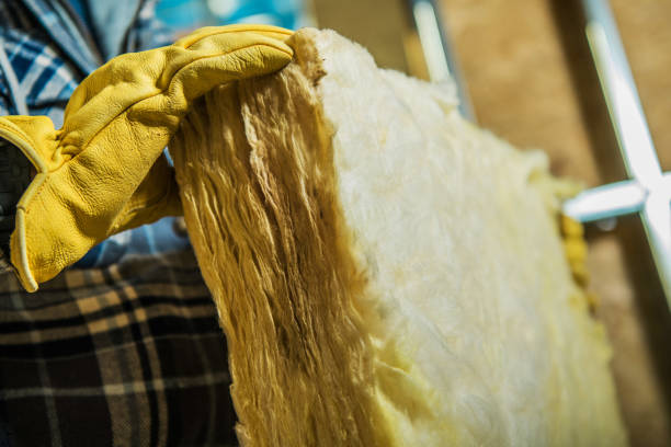 Professional Insulation Contractor in Pierz, MN