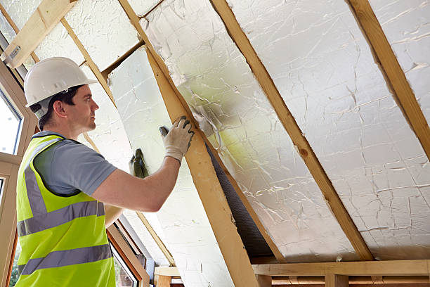 Best DIY Insulation Kits and Guidance in Pierz, MN