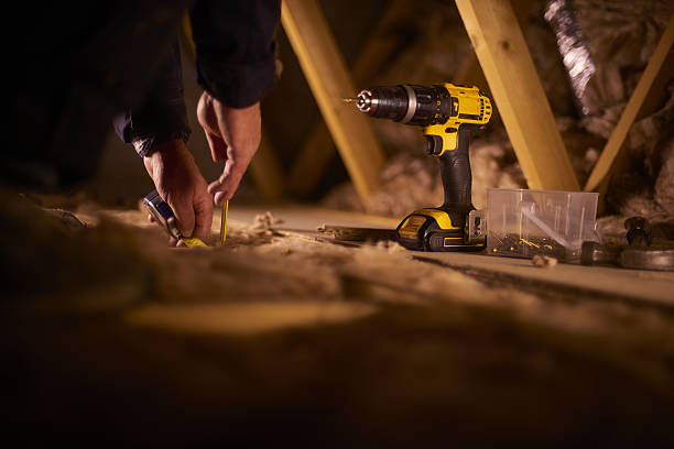 Best Specialized Insulation Services in Pierz, MN
